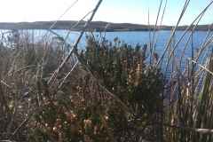 Benbecula 2