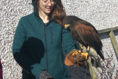 Tri and Hawk
