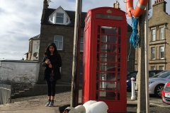 broughty ferry swan