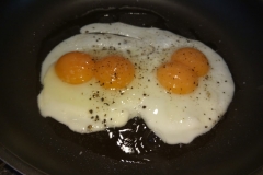 double yolkers