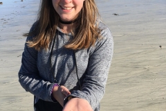 starfish