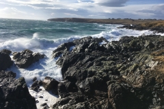 wild water lewis