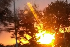 IMG_20190324_175128678_BURST000_COVER_TOP